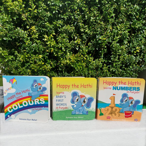 Trio of Books - Baby's First Words, Colours and Numbers (Punjabi)